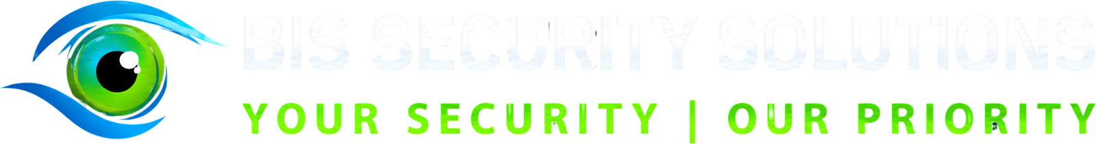 Bis Security Solutions